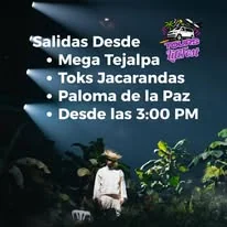 Puntos de salida Tours LiliFest