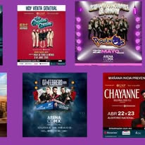 Tour a Six Flags - Christmas in the Park